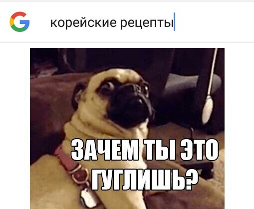 Мне кажется, что этот мопс уже готов для шашлыка)