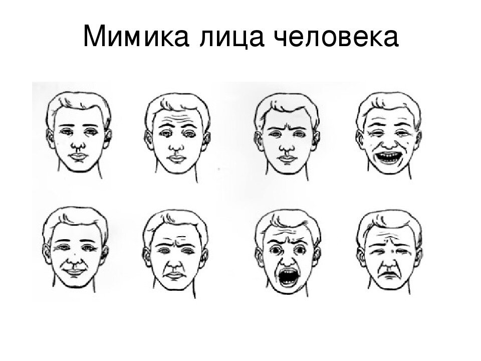 Выражению его лица. Пол экман эмоции. Эмоции человека. Выражение лица мимика. Мимика лица.