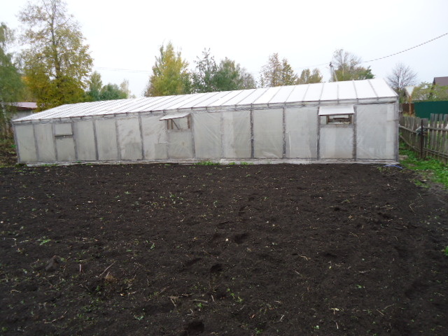 Нам понадобилась большая теплица, и муж построил теплицу размером 6 на 15 метров.