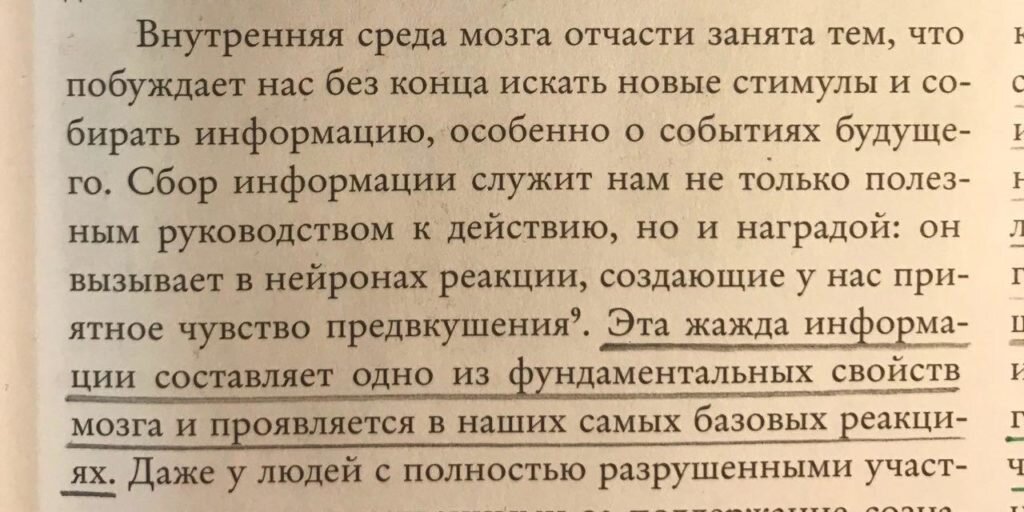 Отрывок из книги «Как работает мозг», Рита Картер