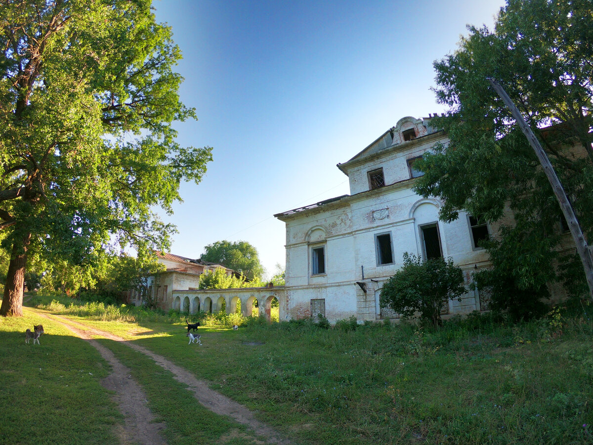 Лесной берег Долбенкино