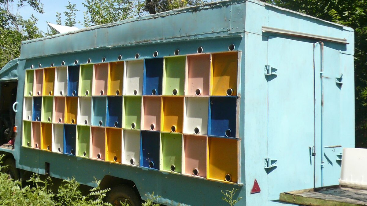 кассетный павильон снаружи