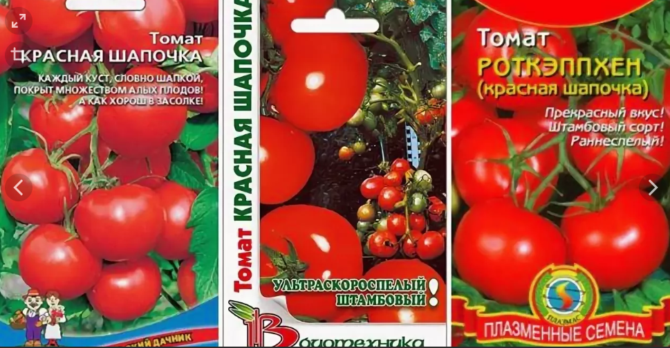 ✅ Tomato Little Red Riding Hood (Rotkeppchen): characteristics and description o