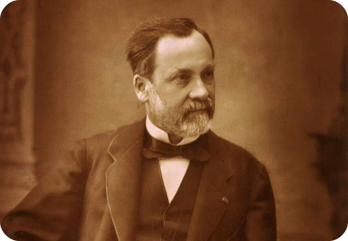 Луи Пастер (1822—1895) - французский микробиолог и химик, основоположник микробиологии