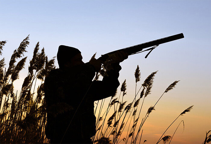 Индивидуальная охота. Иллюстрация из открытых источников.