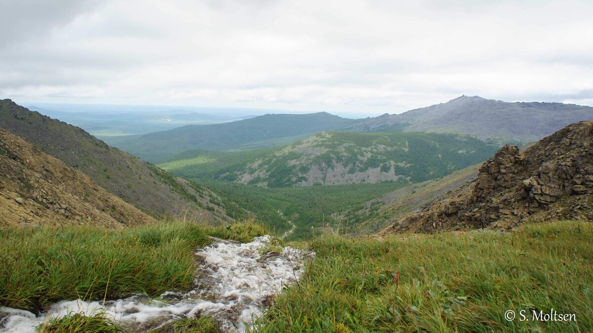 Вешки Конжак