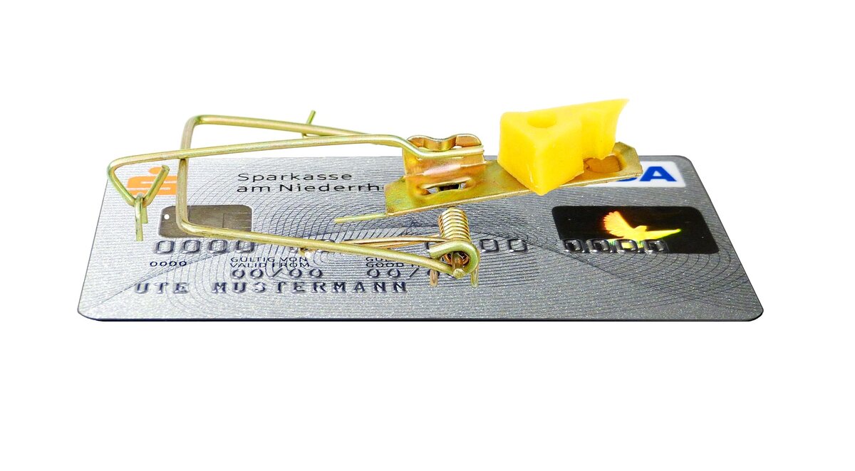 Изображение с сайта https://pixabay.com