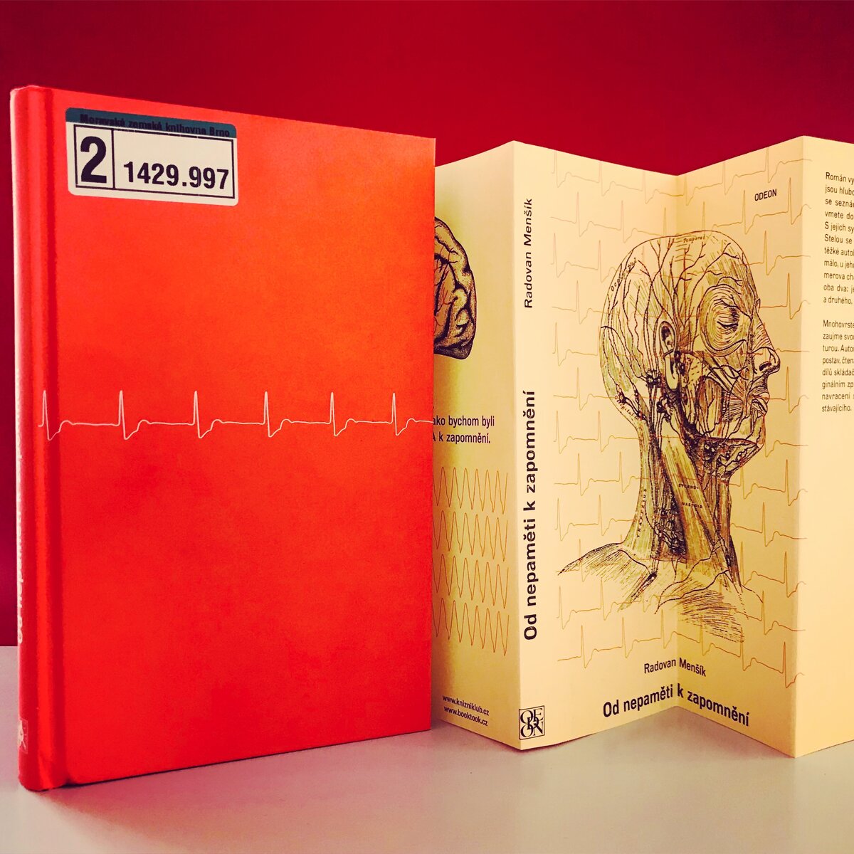 Чешское издание романа