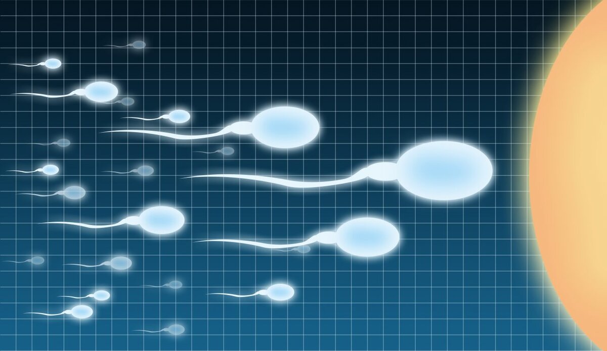 Спермограмма - показатели нормы, расшифровка анализов | клиника ДАХНО