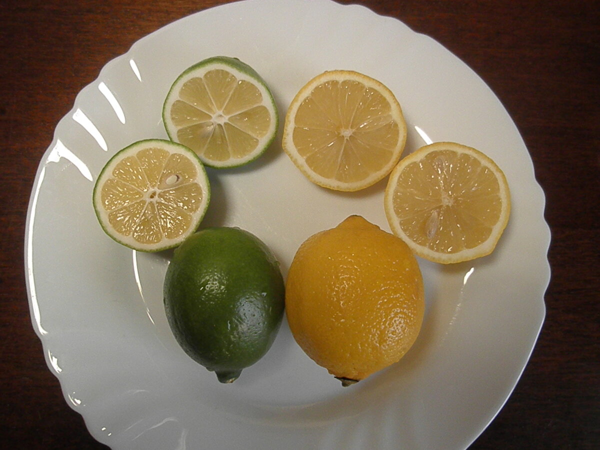 Como hacer polos de limon