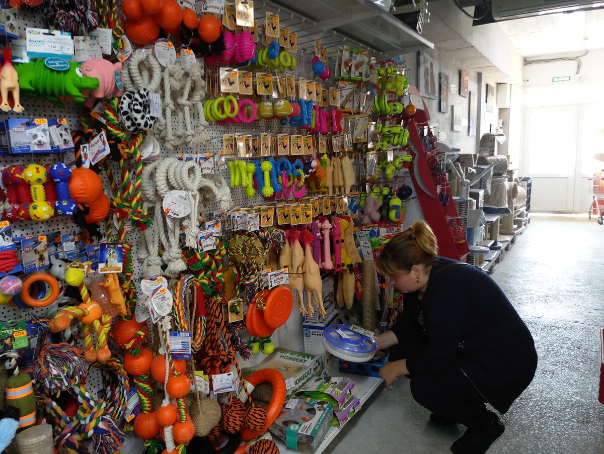 Наталья выбирает игрушку для своих котов