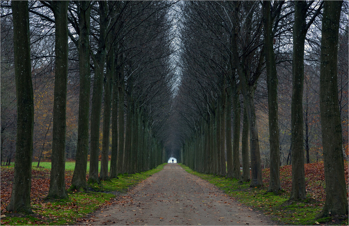  Фото: Яндекс