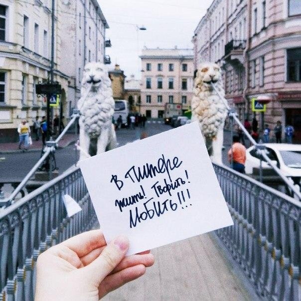 Фото из открытого источника