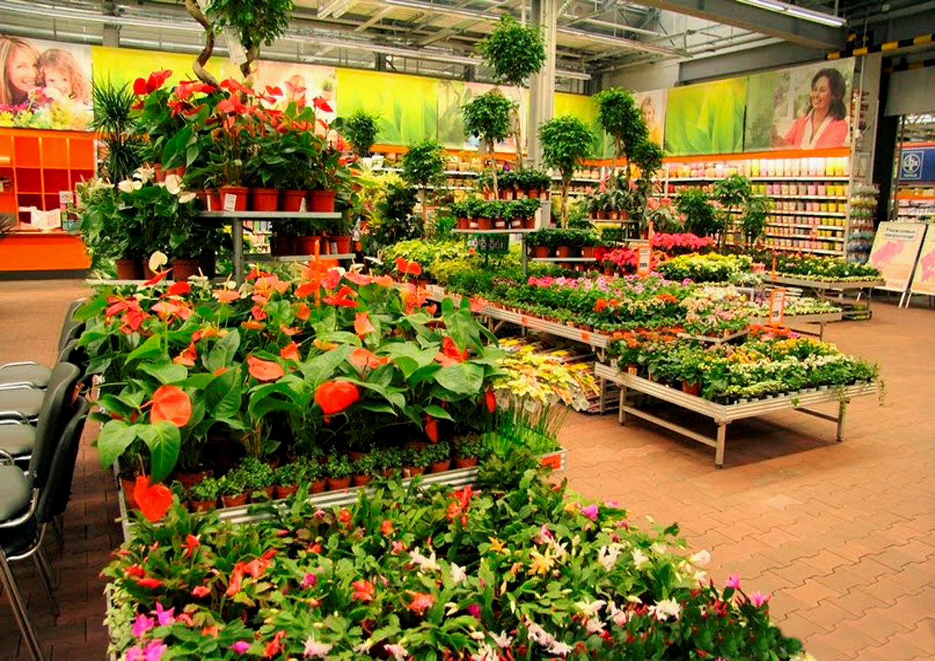Садовый рай Авиапарк. Цветы в цветочном магазине. Магазин растений для сада. Магазин комнатных растений.