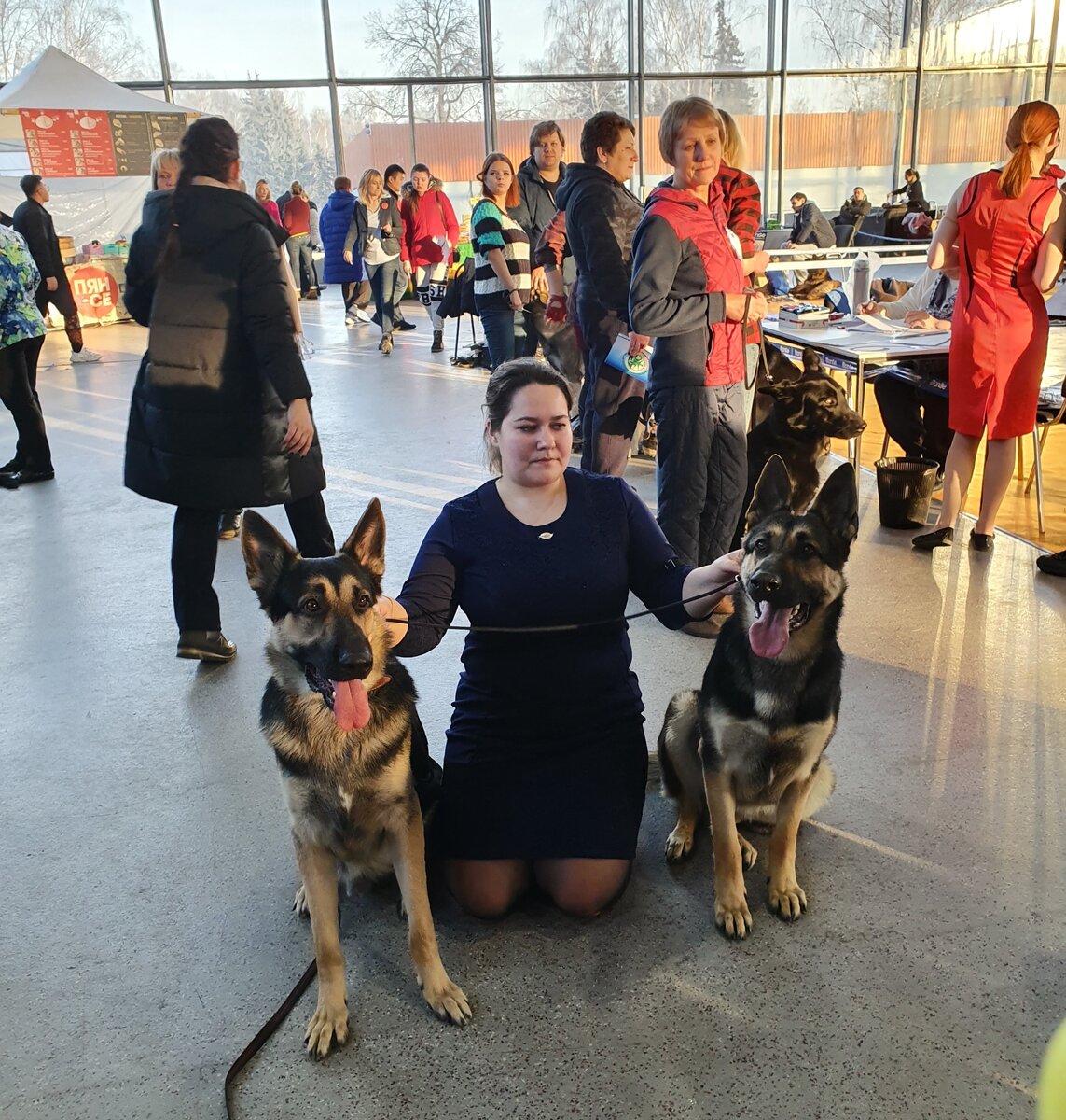 Наш хендлер в компании Тито и его сестры по папе Арчи Феличитой. Правда,  брат с сестрой похожи? 