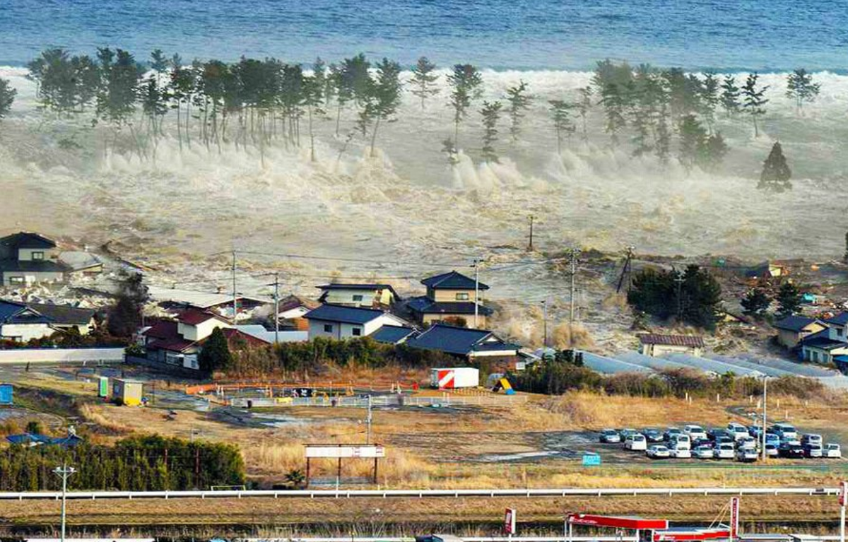 фото из сети Интернет