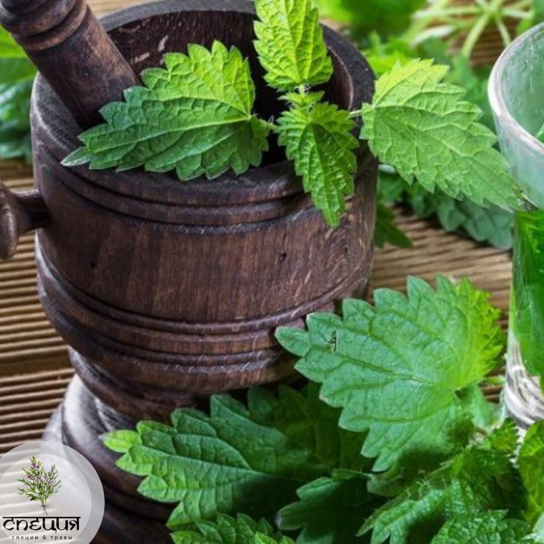 Отвар крапивы с уксусом для ополаскивания волос