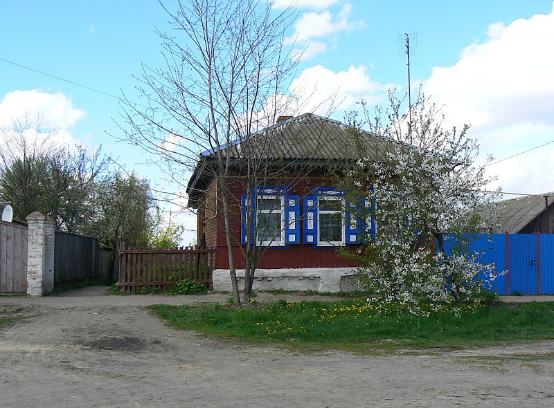 село жадово. александровка. новости украины черниговская область. чернигов новости. новости украины черниговская область.