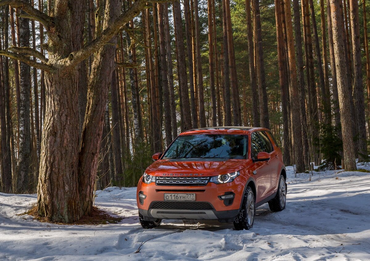 Land Rover Discovery Sport. ГЛАЗАМИ ФОТОГРАФА И РЫБОЛОВА. | PoolTV | Дзен