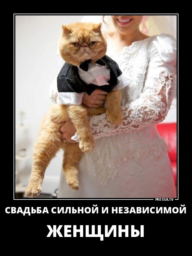 (взято из открытых источников)