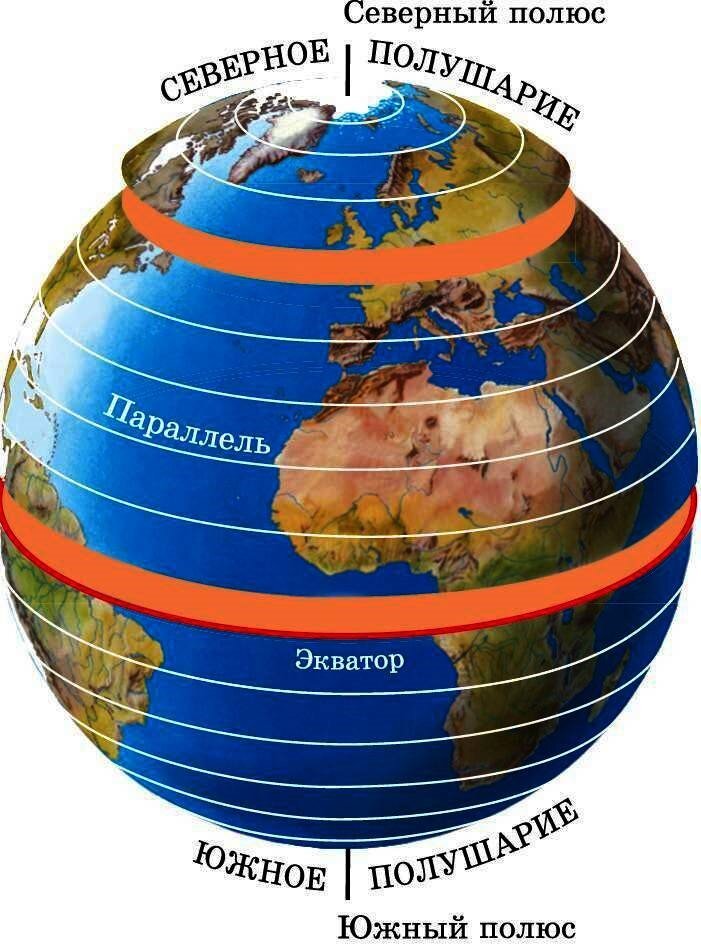 Самое параллель. Экватор Меридиан параллель шара. Глобус меридианы параллели Экватор. Меридианы и параллели на глобусе. Земной шар с меридианами.