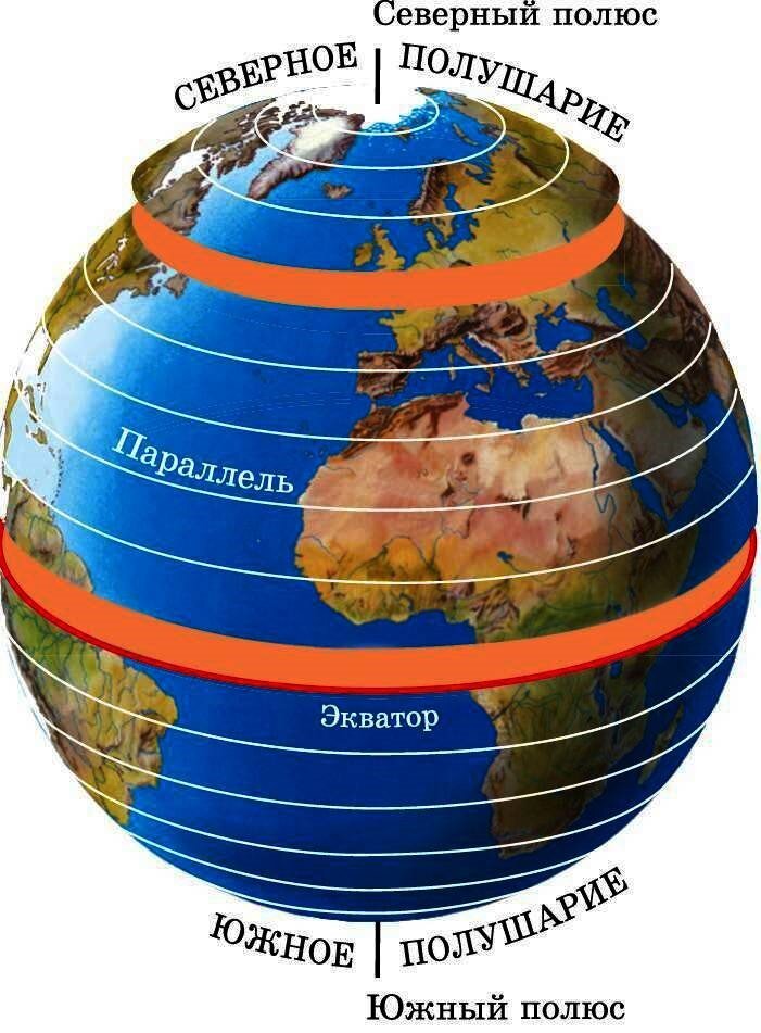 Экватор Меридиан параллель шара. Глобус меридианы параллели Экватор. Меридианы и параллели на глобусе. Земной шар с меридианами.