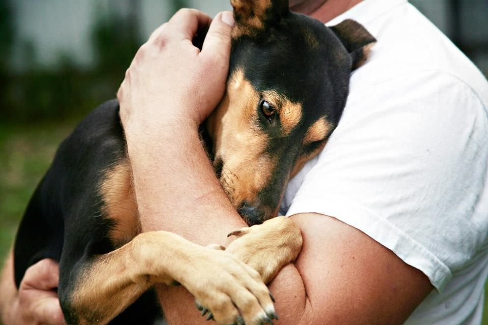 Фото взято из открытых источников