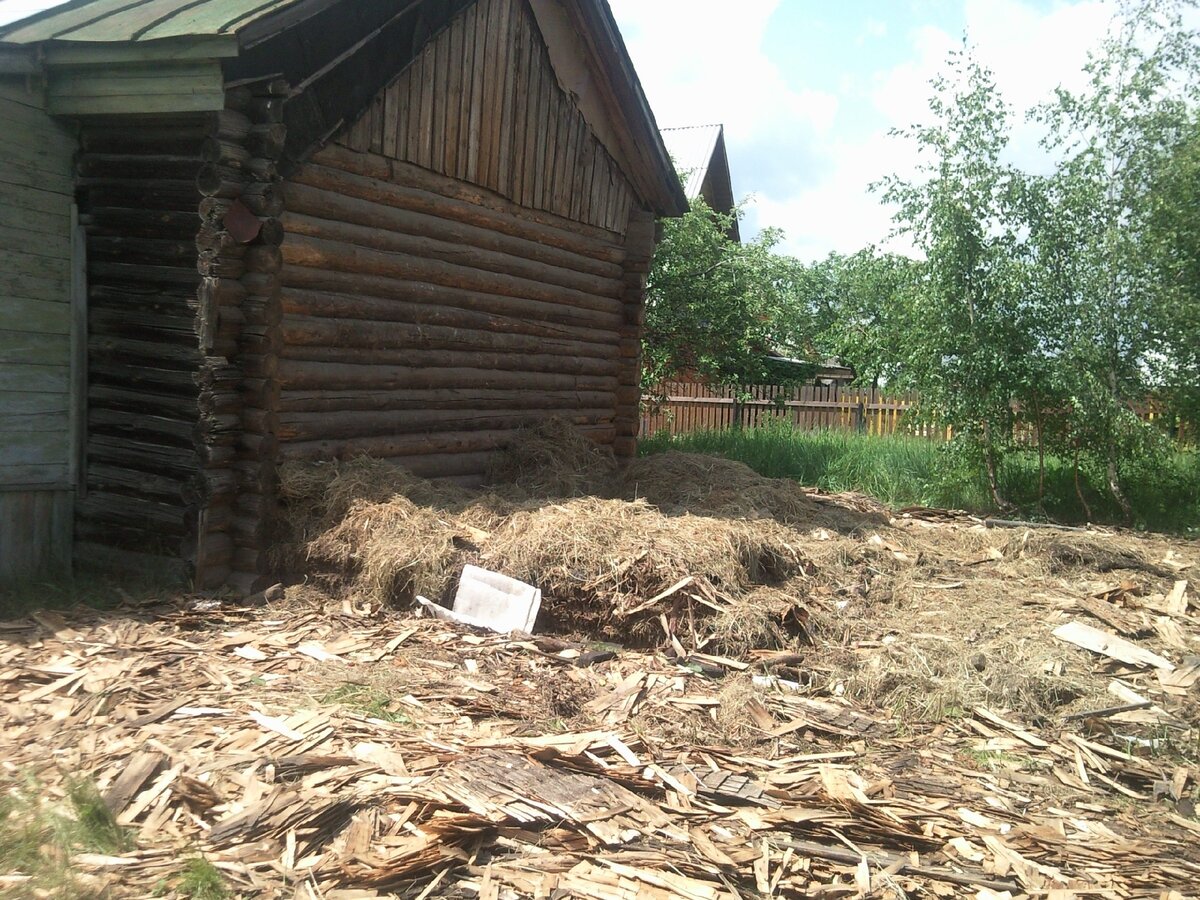 От двора осталась куча гнилого сена, дранки и старинных ржавых железных гвоздей.Что теперь на месте сеновала, смотрите на следующем фото.