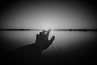 Фото:https://unsplash.com/