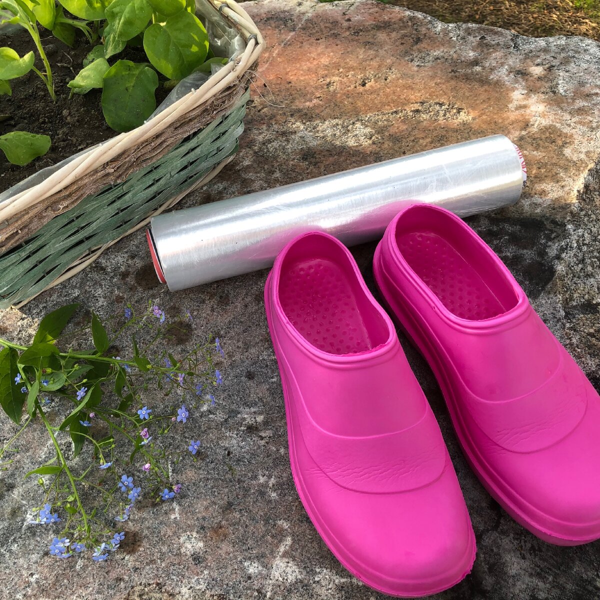 Мокрица - трава, которая лечит суставы, а также кашель