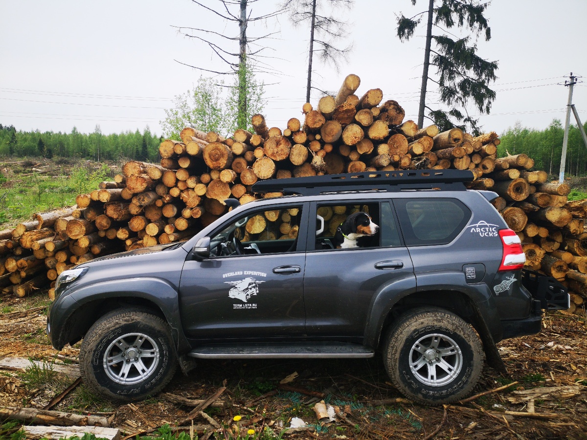 Путешествуйте с собаками, это круто!