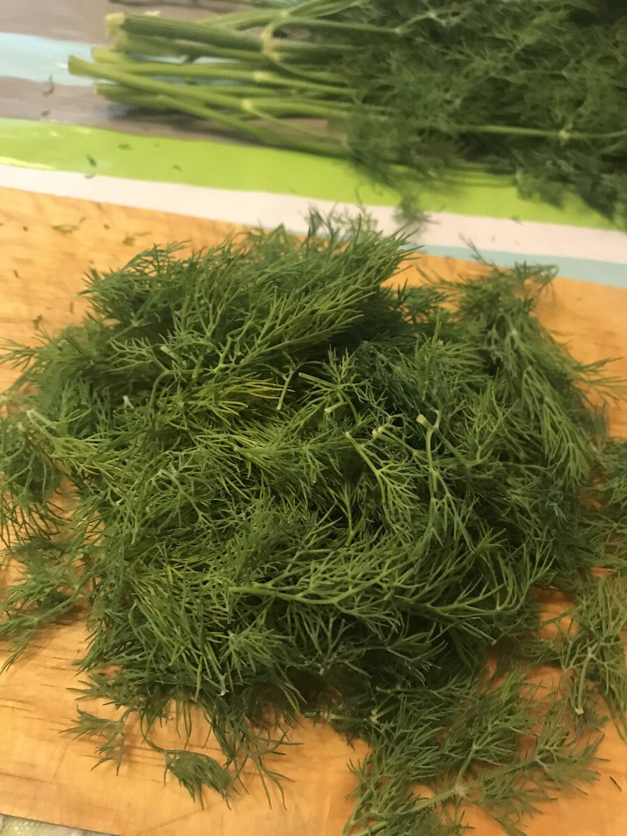 Начинаем собирать ингредиенты: для начала очищаем укроп от крупных стеблей, 