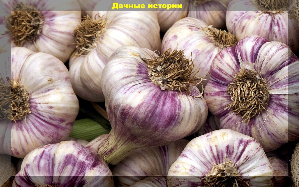 https://vk.com/photo-159774511_457244727
