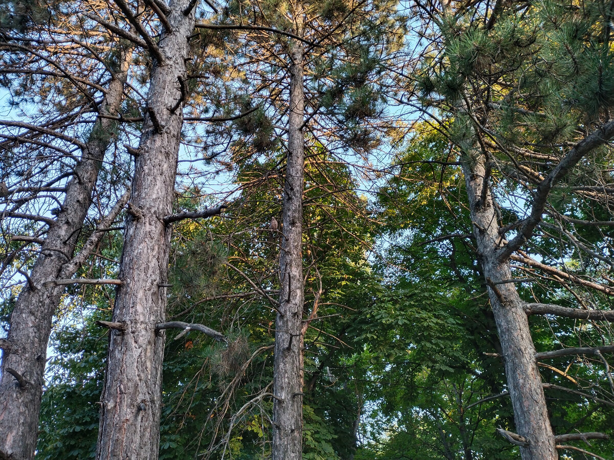 Фото автора  канала
