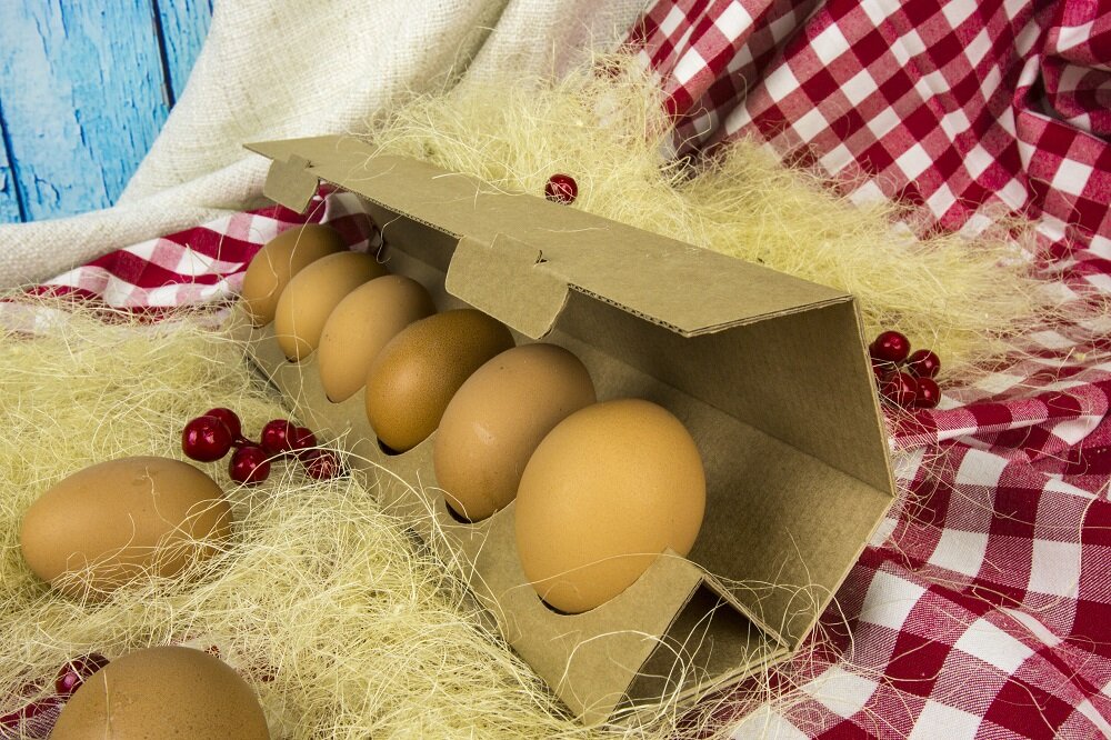 Коробка оберточного типа для яиц