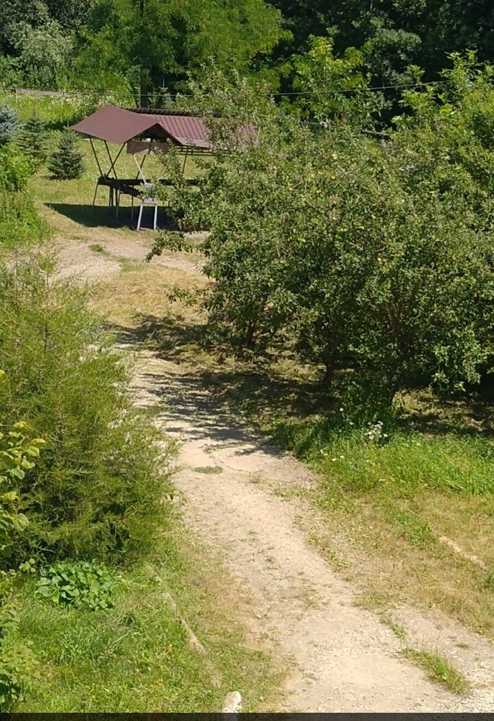 вид из нашего номера на шашлычную зону