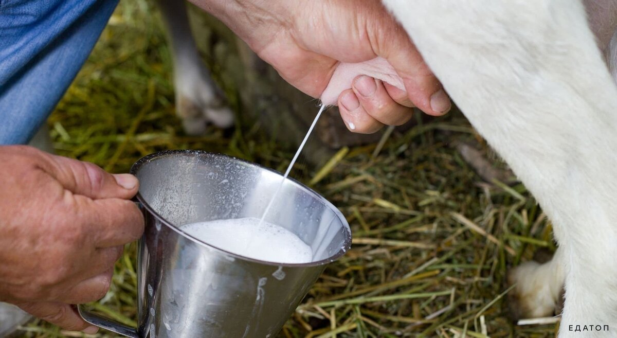 Фото из открытых источников.