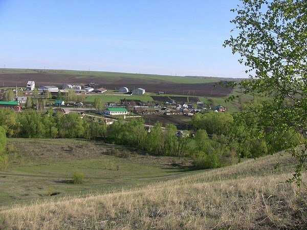 Мой участок до аренды. Фото из сообщества села в социальной сети