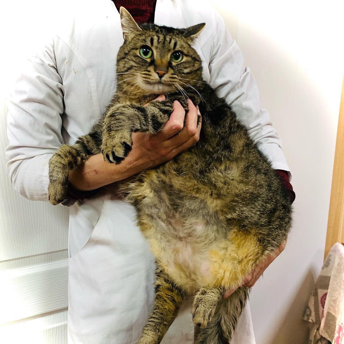 Милый Митюшка 