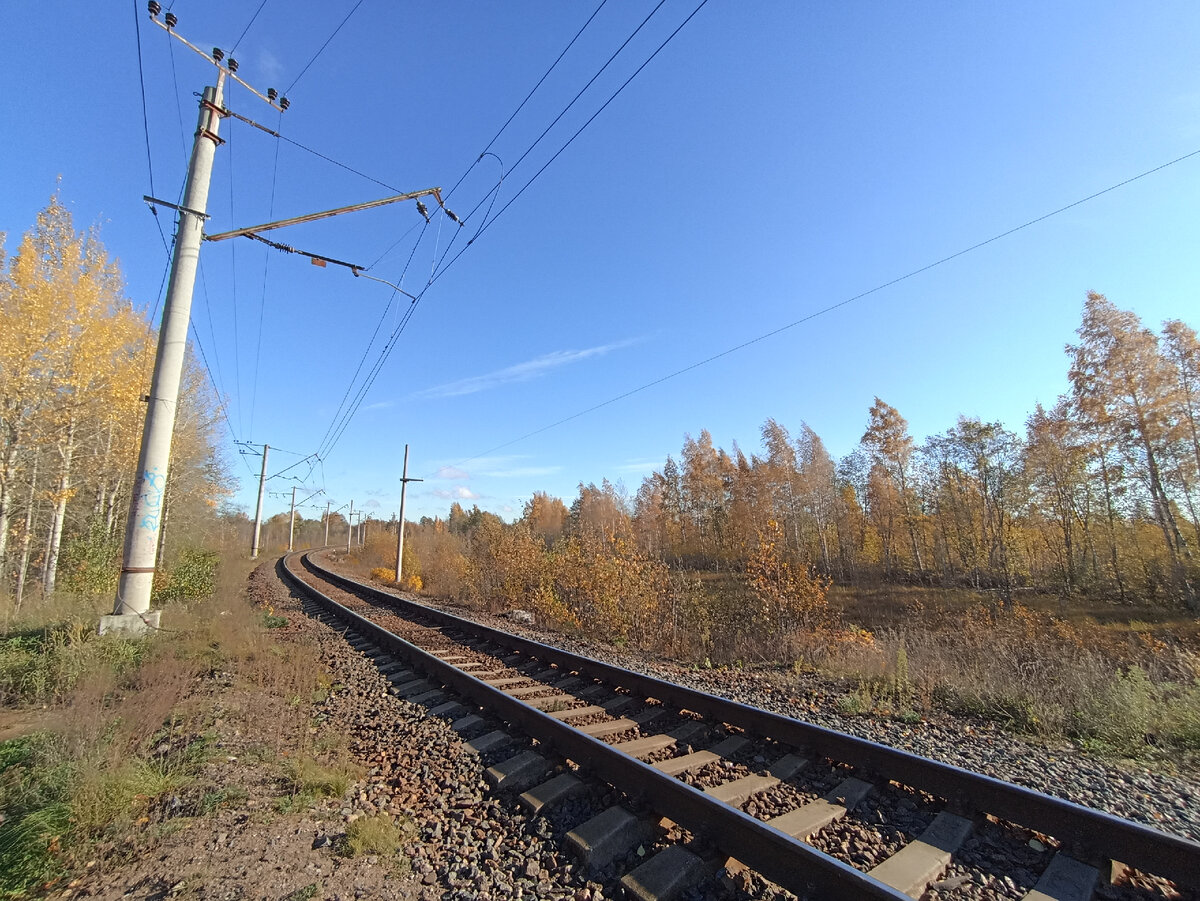 Велопрогулка вокруг озера Сестрорецкий Разлив в Санкт-Петербурге | Вокруг  Да около | Дзен