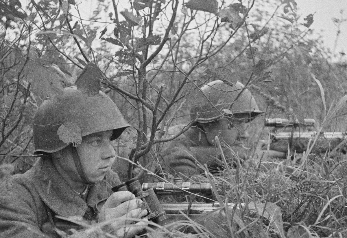 Снайпер и наблюдатель кустах.