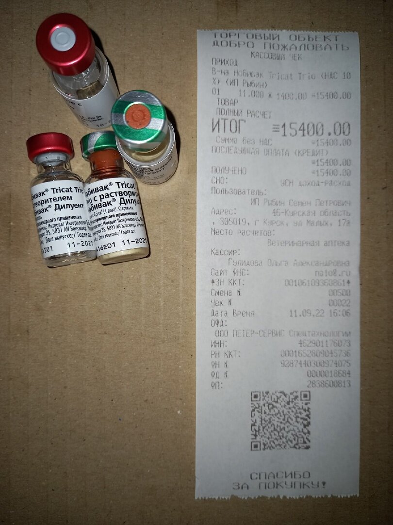 Это чек за 11 доз импортной вакцины. У кого есть желание и возможность, помогите, пожалуйста, дособрать недостающую сумму, отправив посильную помощь! Реквизиты в конце статьи. (Фото из личного архива автора).