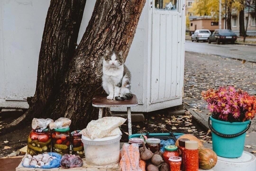 иллюстрация из яндекс картинки.