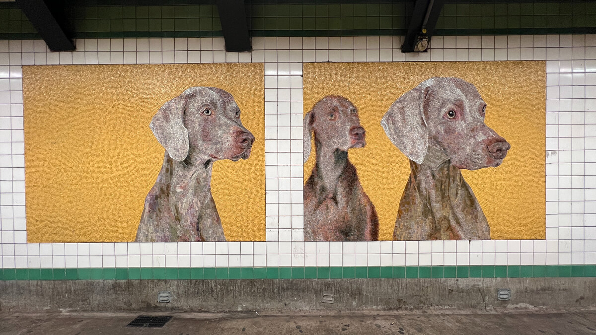 Мозаика в метро Нью-Йорка, по мотивам фотографий William Wegman