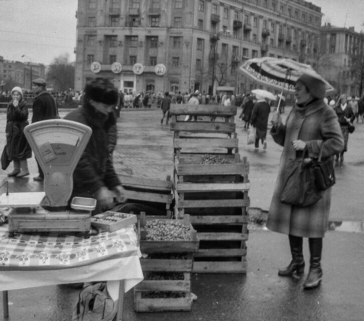 Мы в таких торговали дырах, где не очень то и продашь,                                                         Где как в жопе темно и сыро, где за счастье ажиотаж.
В летний день и зимою хмурой на работу идём без слов.
Мы – охотники за купюрой всех размеров и всех цветов.
