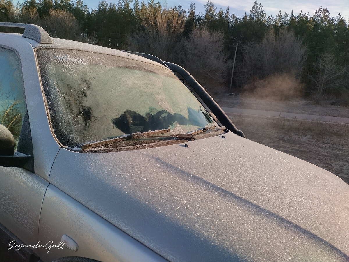 Замороженная ласточка