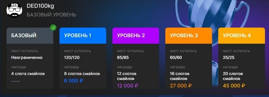 Система поддержки молодых стримеров на площадке VKPlay.Live