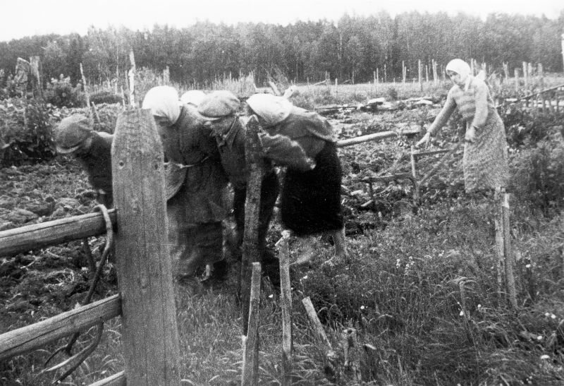 Как пожилые жители сел России выживали без пенсий?