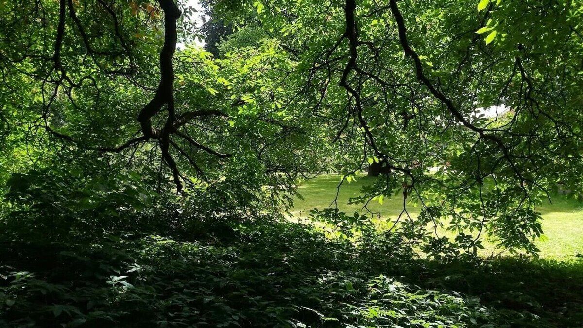     Возле Набережных Челнов заметили первых проснувшихся после зимы гадюк. Их можно встретить в лесу, у водоемов или на дачах.