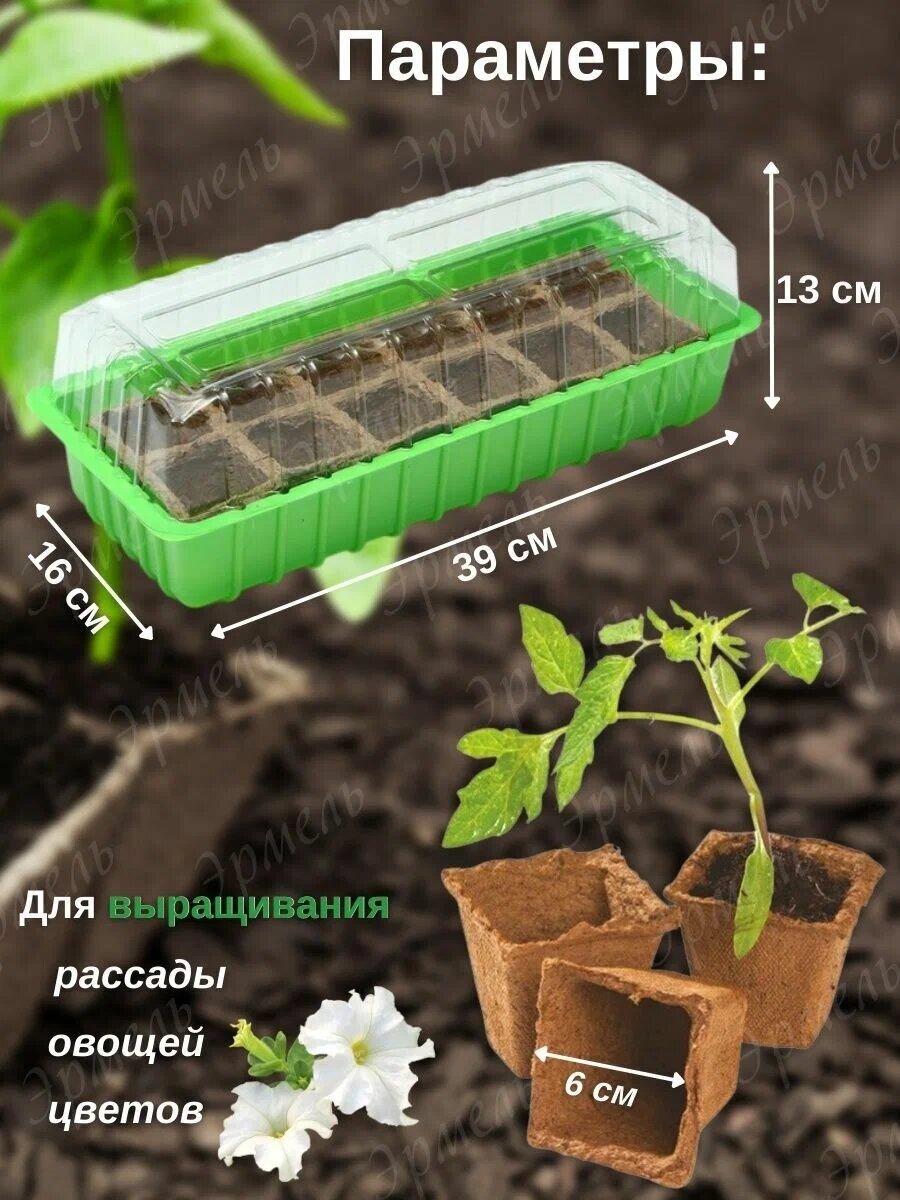 Мини-парник для рассады. В чем плюсы?